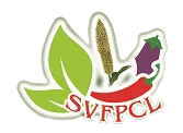 SAKKOTTAI VEGETABLES FARMERS PRODUCER COMPANY LIMITED