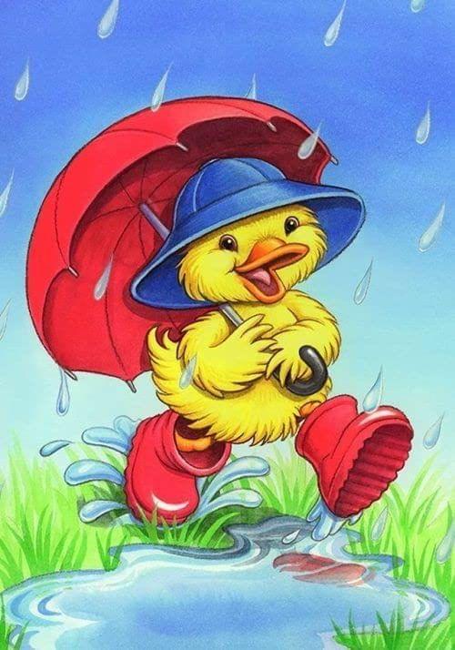 APM Kids Cartoon Wall Sticker Fully Waterproof Vinyl Sticker self Adhesive for Living Room, Bedroom, Office, Kids Room 12X18 inches (CT8)