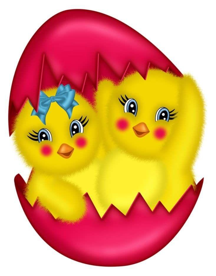 APM Kids Cute Birds Cartoon Wall Sticker Fully Waterproof Vinyl Sticker self Adhesive for Living Room, Bedroom, Office, Kids Room 12X18 inches (B18)