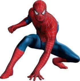 APM Spiderman Wall Sticker Fully Waterproof Vinyl Sticker self Adhesive for Living Room, Bedroom, Office, Kids Room 12X18 inches (S14)