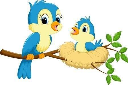 APM Kids Cute Birds Cartoon Wall Sticker Fully Waterproof Vinyl Sticker self Adhesive for Living Room, Bedroom, Office, Kids Room 12X18 inches (B22)