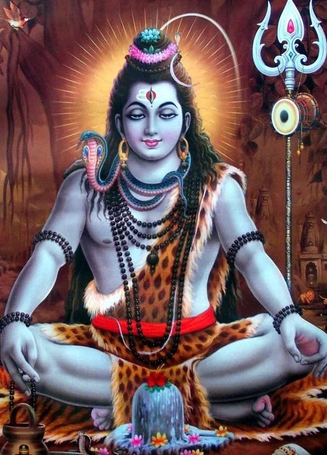 APM Shiv JI Wall Sticker Fully Waterproof Vinyl Sticker self Adhesive for Living Room, Bedroom, Office, Kids Room 12X18 inches (S9)