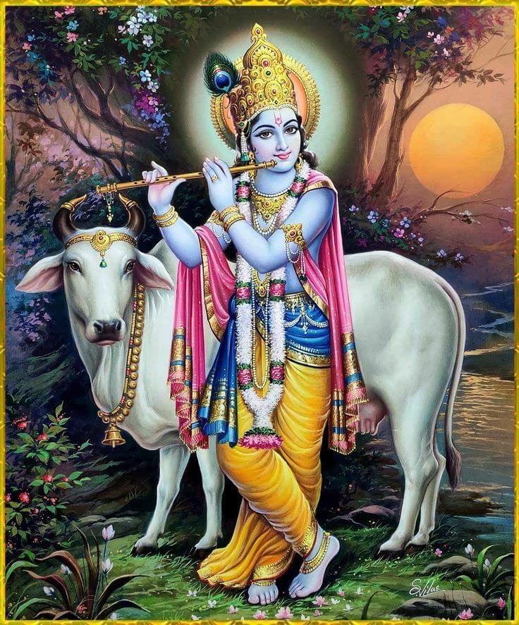 APM GOD Krishna Wall Sticker Laminated House/Office 12X18 INCHES (WS15)