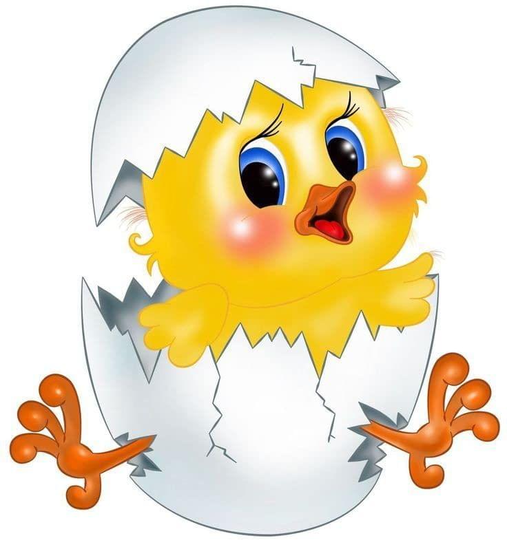 APM Kids Cute Birds Cartoon Wall Sticker Fully Waterproof Vinyl Sticker self Adhesive for Living Room, Bedroom, Office, Kids Room 12X18 inches (B5)