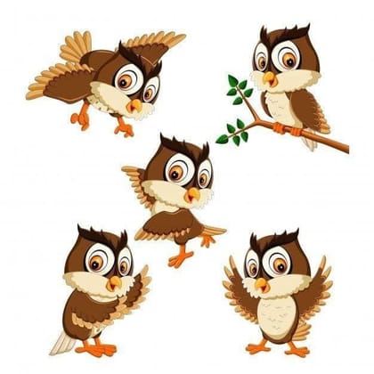 APM Kids Cute Birds Cartoon Wall Sticker Fully Waterproof Vinyl Sticker self Adhesive for Living Room, Bedroom, Office, Kids Room 12X18 inches (B21)