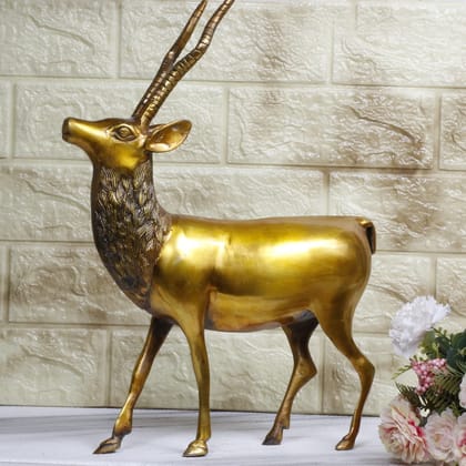 ARTVARKO Brass Golden Deer Statue for Home Office Decor and Gift Showpiece Vastu Feng Shui Decorative (LxH12x15 Inches)