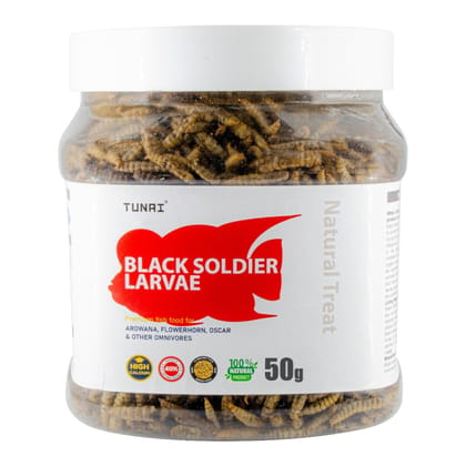 Tunai Black Soldier Fly Larvae BSFL |50g| 60X More Calcium Than Meal Worms, 40% Protein Rich Fish Food for Oscar, Arowana, Flowerhorn, Adult Turtle, Tortoise