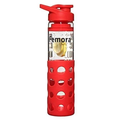 Femora Borosilicate Glass Water Bottle with Fruit Infuser 700ml