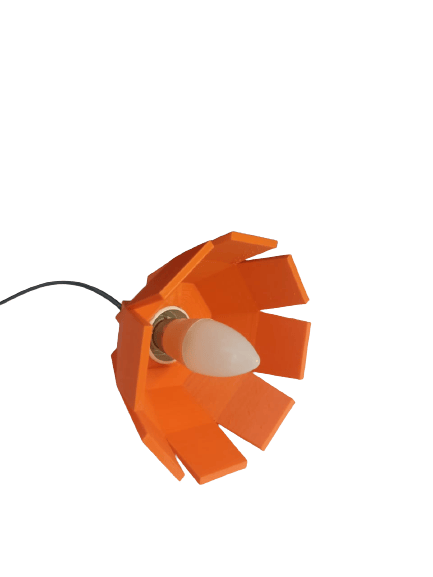 3D Printed Ecofriendly Lamp