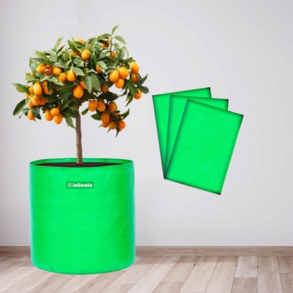 WNE Jaliwale Grow Bags 18x18 inches Large hdpe Fabric Big Size Grow Bags for Leafy Vegetables & Plants Pack of 3