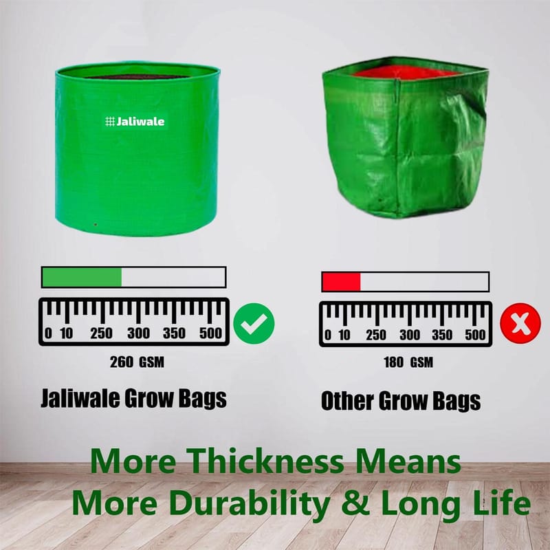 ... ...