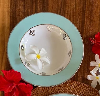 Hitkari Potteries Porcelain JAHANARA Soup Plate Set of 6 PC. for Home & Kitchen | Porcelain Ceramic Soup Plate Set (24 x 3cm,Pure Gold)