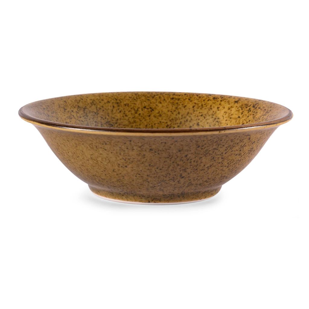 Hitkari Potteries Bio Matt Dinner Set 18 PC.| Porcelain Dinner Set for Home & Kitchen | Brown | Microweb Safe & Dishwasher Safe