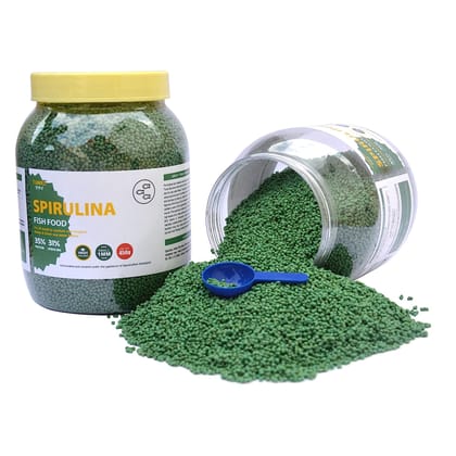 Tunai 31% Spirulina Optimum Choice Fish Food |450g| Fish Feed for All Medium & Adult Tropical Fish |1MM Pellets|, Better Color & Growth