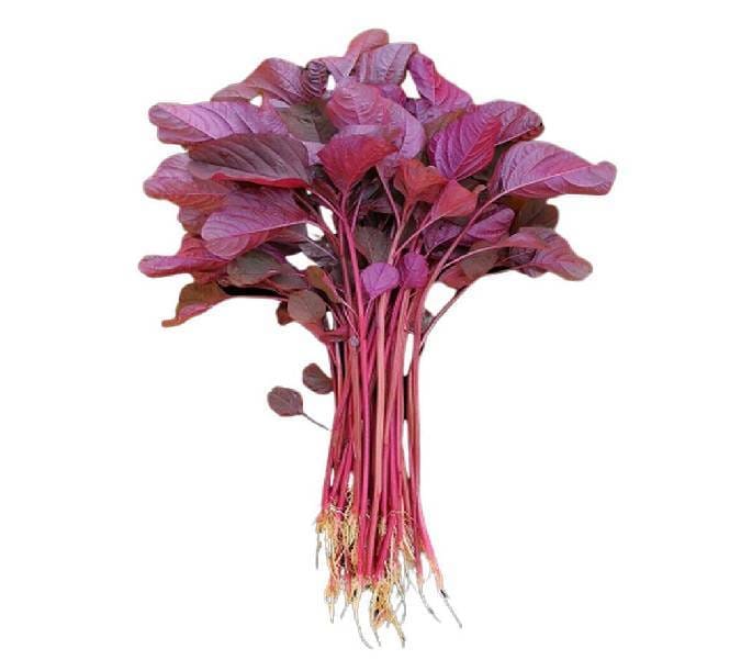 Red Amaranth