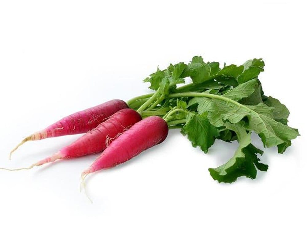 Radish