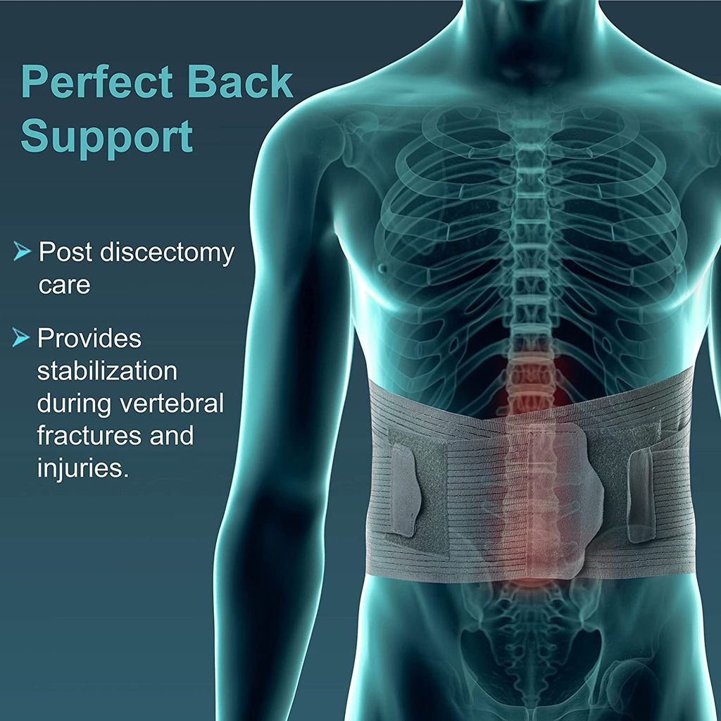 Plutoex® Lumbar Support Belt Back Belt for Back Pain Relief Lumbo Sacral Belt LS Belt Waist Belt for Back Pain for Women & Men With Adjustable Strap, Lower Back support With Cushioning (1 Pc) Free Size