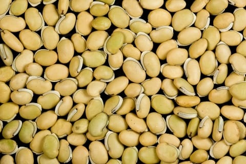 lablab-bean- Pea, Dolichos bean