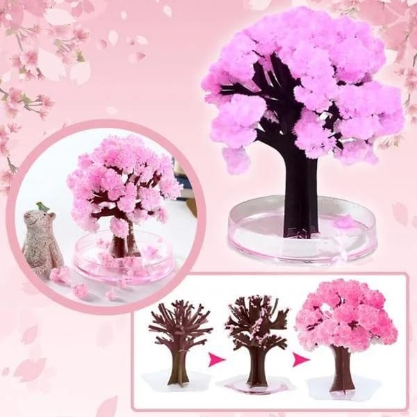 Christmas Random Design Magic Sakura