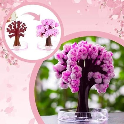 Christmas Random Design Magic Sakura