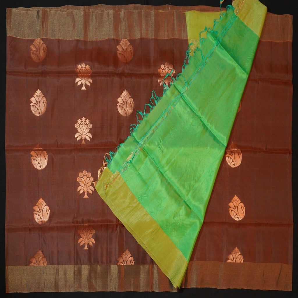 Chocolate Brown Kanchipuram Soft Silk Saree with Green Pallu