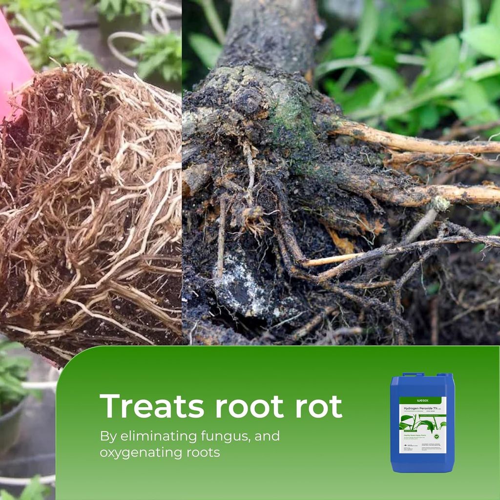 Wesol Hydrogen Peroxide for Plants Hydroponics Gardening Farming Food Grade 7.6% w/w 5 Litre Pack | Best for Cleaning Disinfectant Sterilization