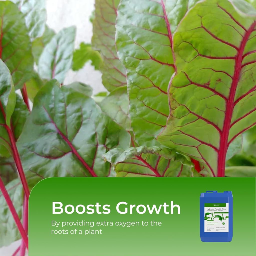 Wesol Hydrogen Peroxide for Plants Hydroponics Gardening Farming Food Grade 7.6% w/w 5 Litre Pack | Best for Cleaning Disinfectant Sterilization