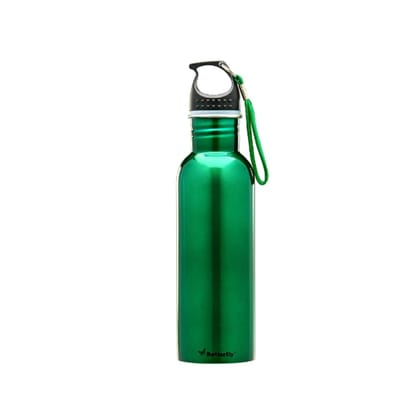 Butterfly Stainless Steel Water Bottle, 750ml, green