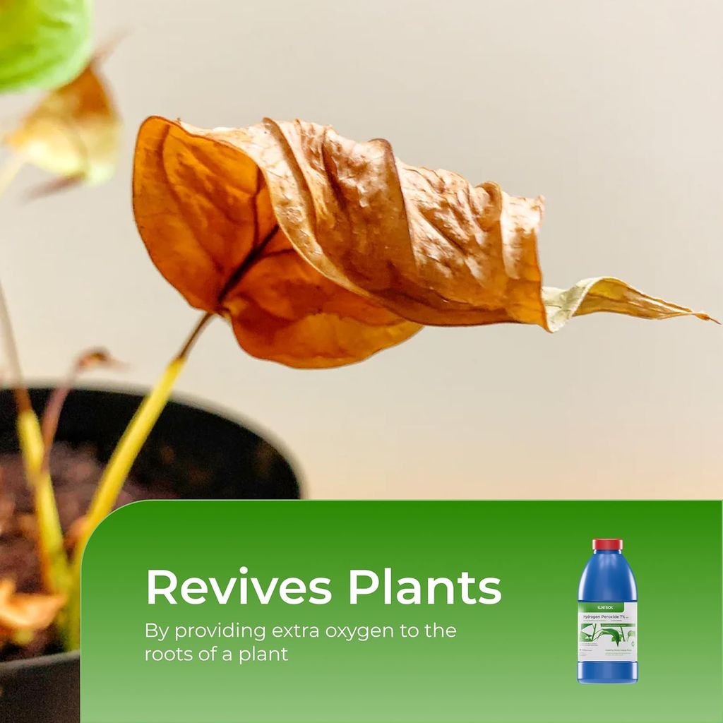 Wesol Hydrogen Peroxide for Plants Hydroponics Gardening Farming Food Grade 7.6% w/w 1 Litre Pack | Best for Cleaning Disinfectant Sterilization