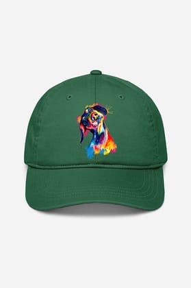 Tilted Head Rainbow Dog Cap (7 Colours)