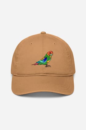 Pretty Jandaya Parakeet Cap (3 Colours)