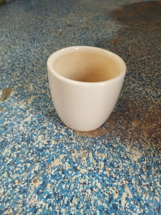 Round shape White Flower Pot
