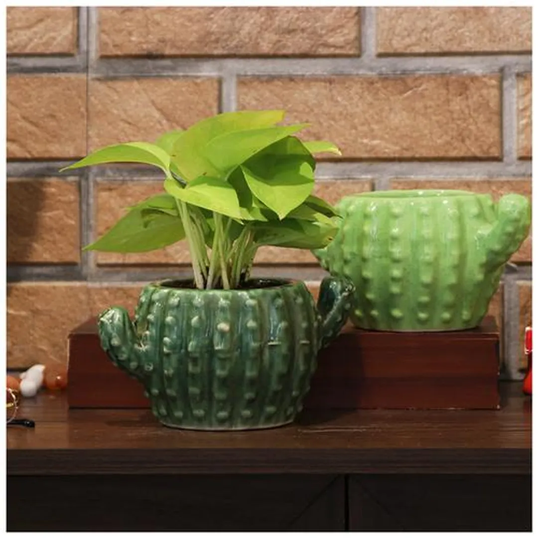 Ceramic Cactus Shape Pot - Strong, Durable, For Indoor/Outdoor Plantings