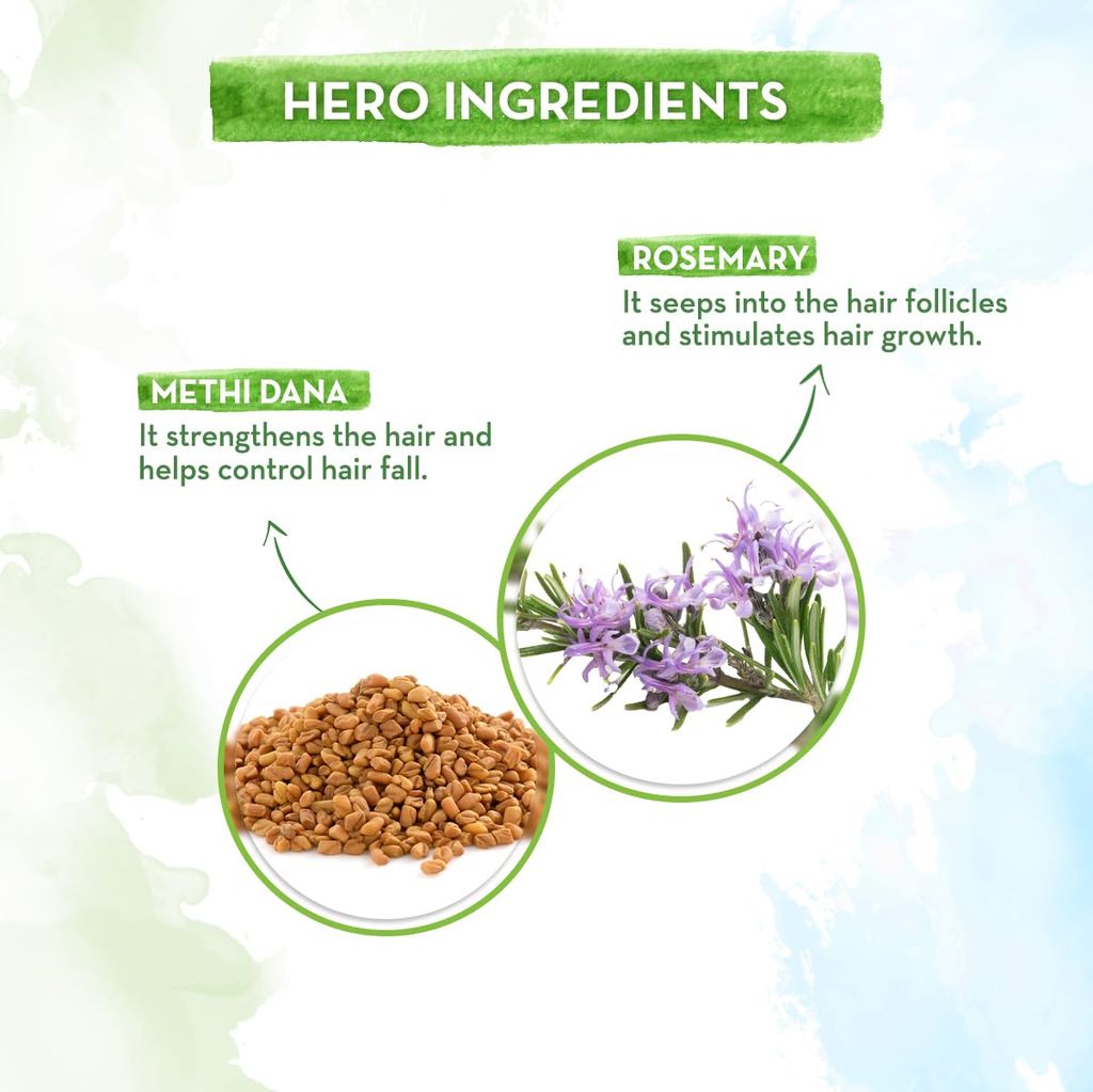 Rosemary Anti-Hair Fall Shampoo with Rosemary & Methi Dana for Reducing Hair Loss & Breakage - 250 ml