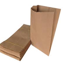 Blue Ridge Kraft Paper Bags. Disposable. Re-cyclable. Eco Friendly. Various Sizes.