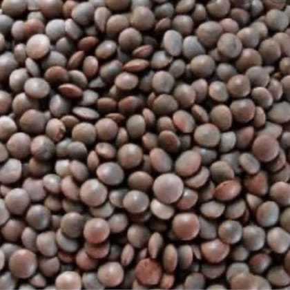 Masoor dal Whole Lentil 1 kg