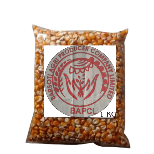 Maize Grain