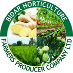 Bidar Horticulture Farmer Producer Company Limited Bidar Horticulture Farmer Producer Company Limited