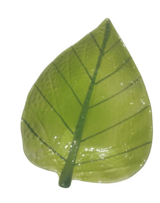 Peepal Leaf Shaped Ceramic Plate For Snacks & Starter
