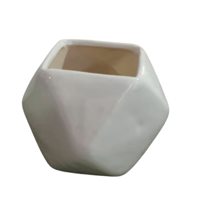 Leafy Tales Polygon Shape Ceramic Pot, White, 1 pc