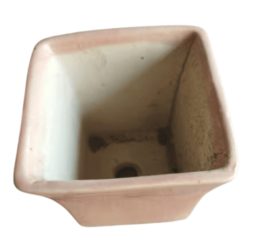 Ceramic Plant Pot for Indoor & Outdoor