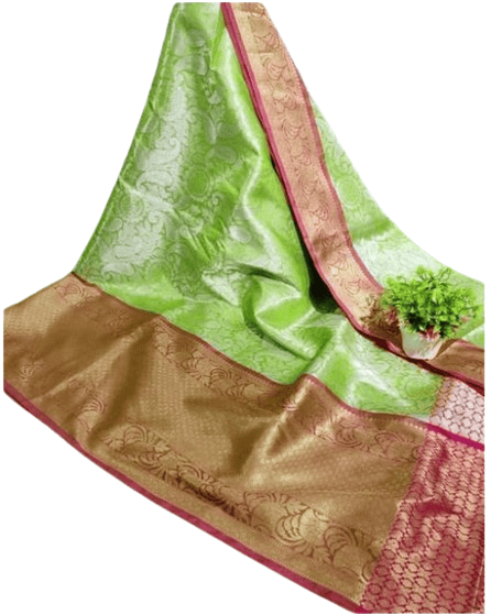 Banarasi Zari Tanchui Shining Green Silk Saree
