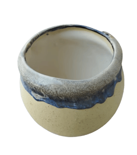 Succulent Ceramic Flower Pot