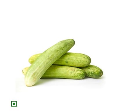 Cucumber organically grown