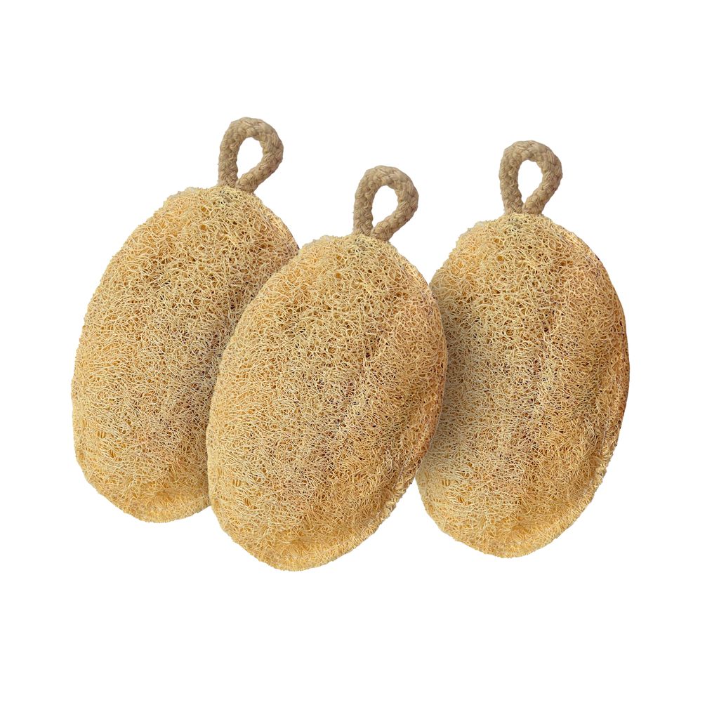 Careberry Eco Friendly Organic Loofah | Gentle Exfoliator Sun Dried Luffa | Ideal Daily Body Wash Scrub Pack of 3 - Body Care - Loofah and Other Tools | Buy online on ZillyBuy