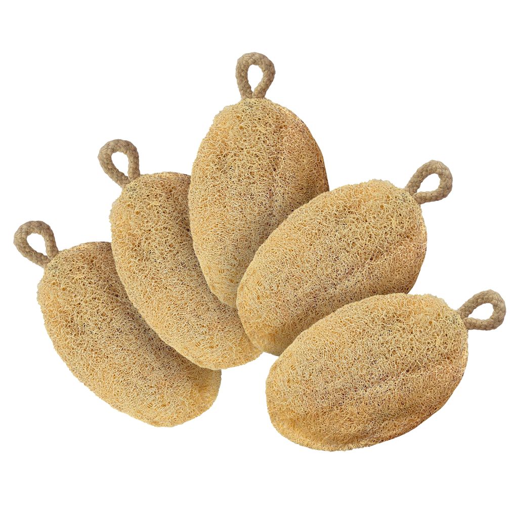 Careberry Eco Friendly Organic Loofah, Gentle Exfoliator Sun Dried Loofah Hypoallergenic Bath Sponge, Ideal Daily Body Wash Scrub,Pack of 5 - Body Care - Loofah and Other Tools | Buy online on ZillyBuy