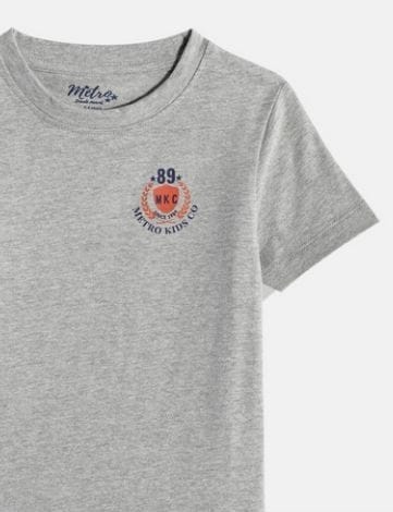 Boys Grey Pack of 3 Printed T-shirt