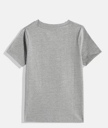 Boys Grey Pack of 3 Printed T-shirt