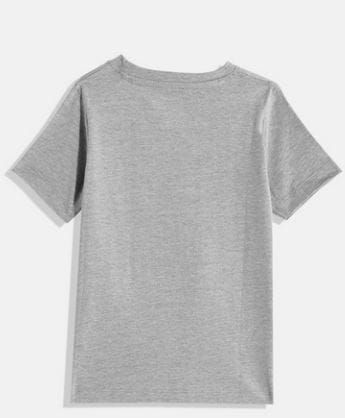 Boys Grey Pack of 3 Printed T-shirt