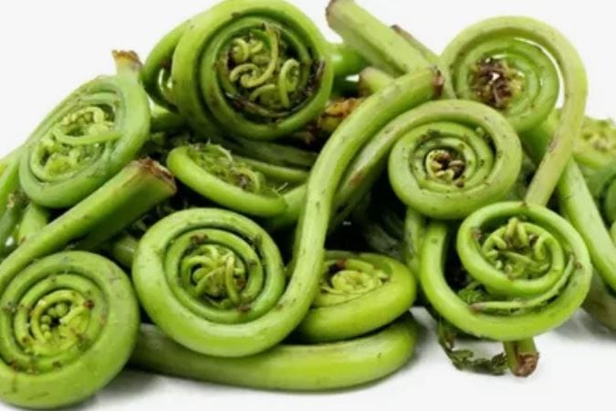 Lingda Pickle ( Fiddlehead ferns )